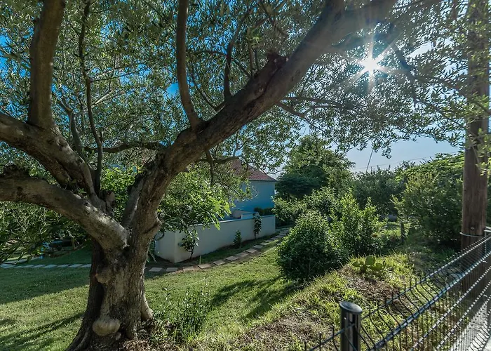 Apartament Robinson Podvrsje