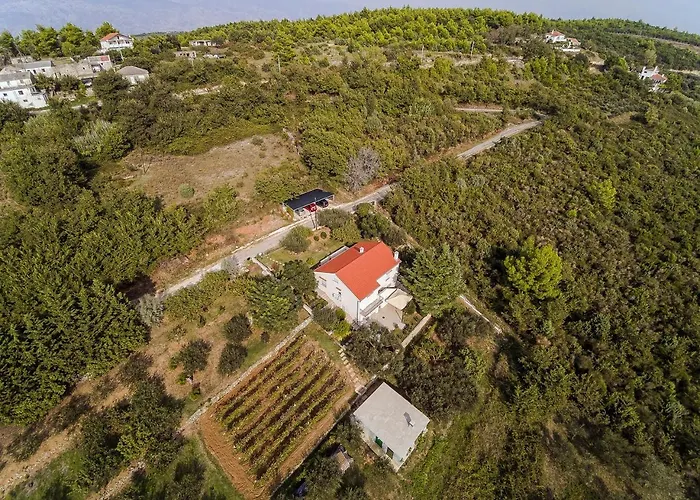Robinson