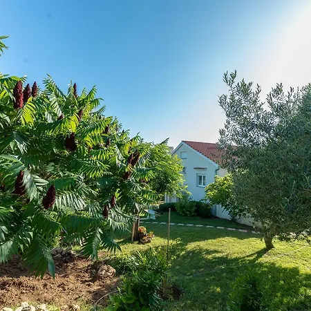 Appartamento Robinson *