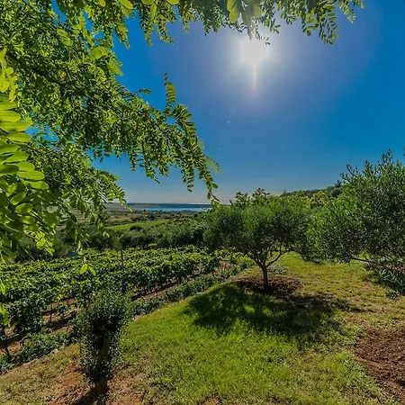 Appartamento Robinson *