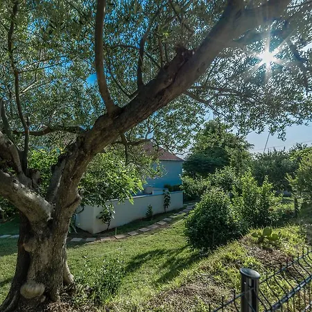 Appartamento Robinson Podvrsje