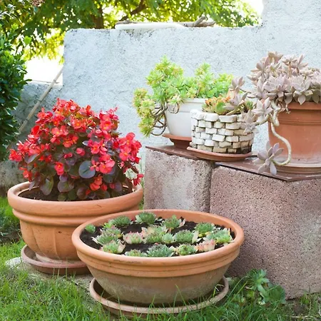 Appartement Robinson