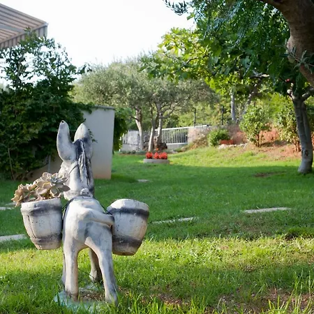 Robinson Appartement