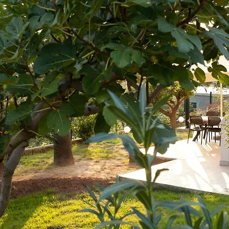 Robinson Appartement