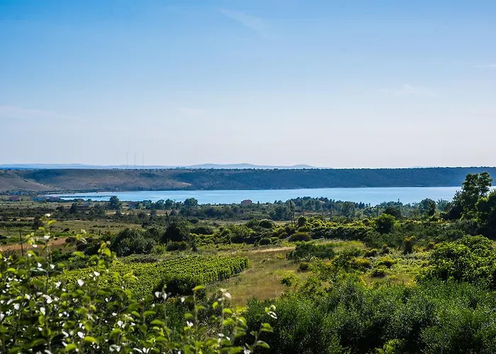 Robinson 아파트 *