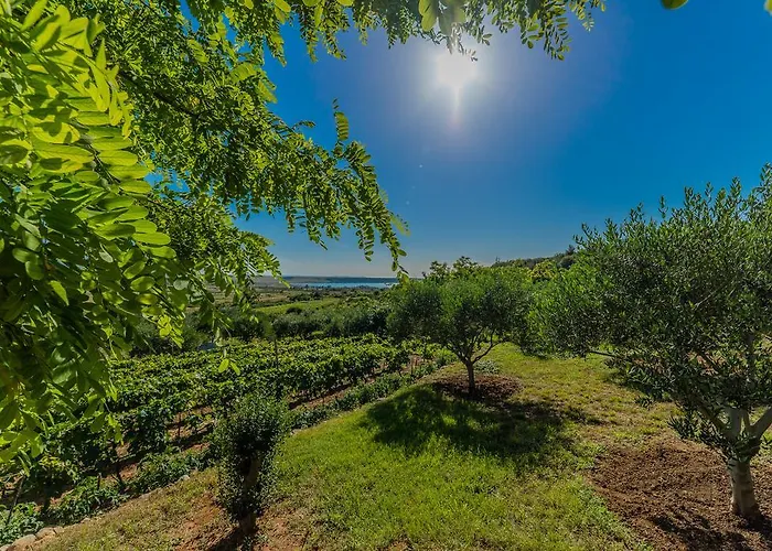 아파트 Robinson *